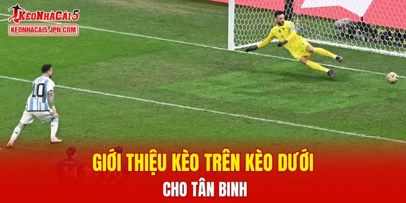 Giới thiệu kèo trên kèo dưới cho tân binh