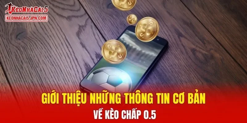 Giới thiệu những thông tin cơ bản về kèo chấp 0.5