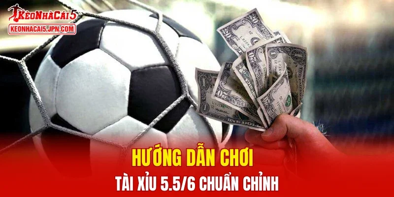 Hướng dẫn chơi Tài Xỉu 5.5/6 chuẩn chỉnh
