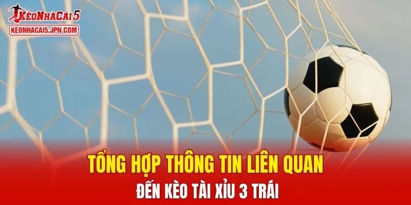 Tổng hợp thông tin liên quan đến kèo tài xỉu 3 trái