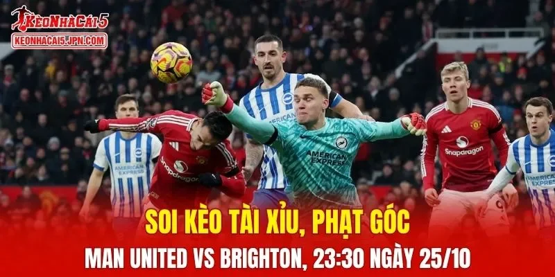 Trận đấu giữa Man United và Brighton đang hứa hẹn sẽ bùng nổ