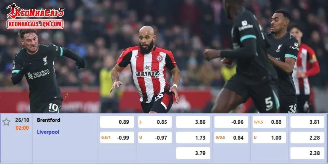 Tỷ lệ kèo chi tiết của trận Brentford vs Liverpool