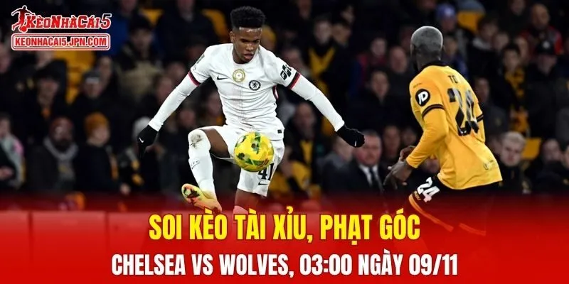 Cuộc chạm trán giữa Chelsea và Wolves đang hứa hẹn nhiều điều thú vị