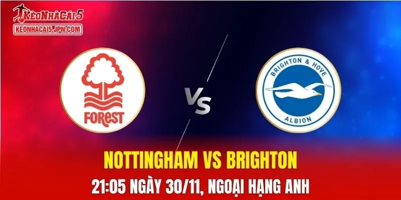 Nhận Định, Soi Kèo Nottingham vs Brighton, 21h05 Ngày 30/11