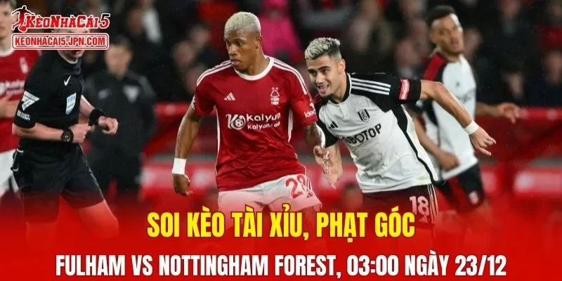 Cuộc đối đầu giữa Fulham và Nottingham Forest hứa hẹn mang đến nhiều điều thú vị