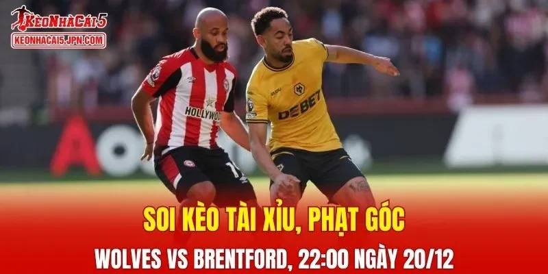 Trận đối đầu giữa Wolves Vs Brentford đang hứa hẹn nhiều kịch tính