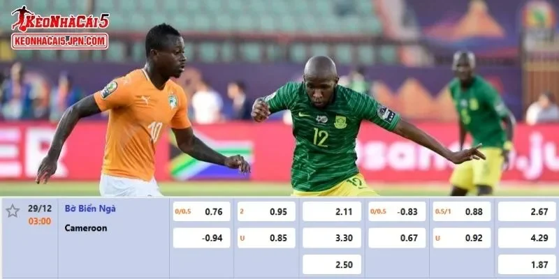 Tỷ lệ kèo chi tiết nhất cho trận đấu giữa Bờ Biển Ngà vs Cameroon