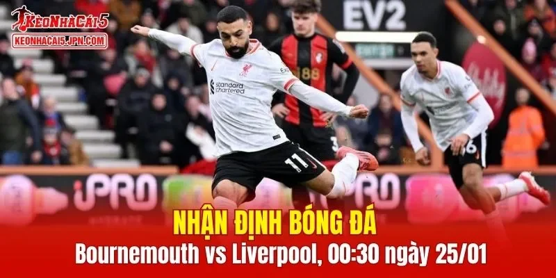 Cuộc chạm trán giữa Bournemouth vs Liverpool chắc chắn sẽ rất thú vị