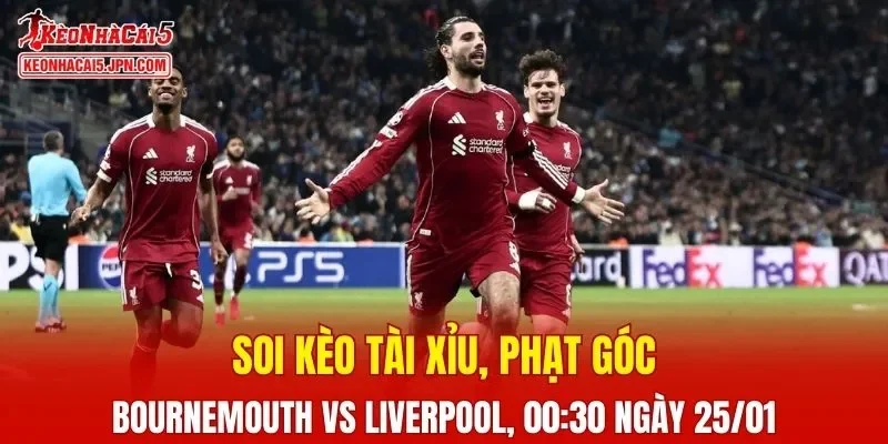 Cuộc đối đầu giữa Bournemouth và Liverpool đang thu hút nhiều sự chú ý