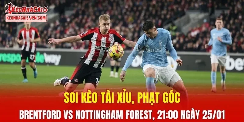 Cuộc đối đầu giữa Brentford và Nottingham Forest hứa hẹn sẽ rất kịch tính