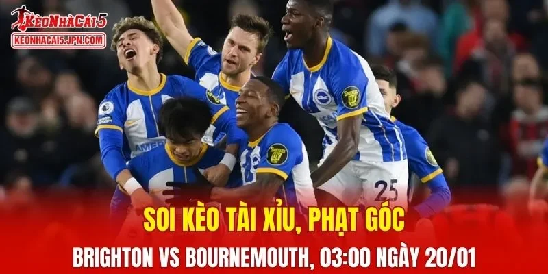 Trận đấu giữa Brighton và Bournemouth đang hứa hẹn sẽ bùng nổ