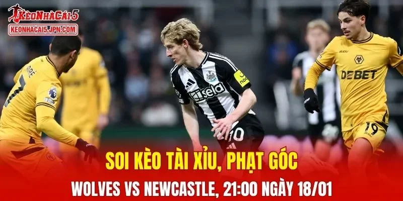Trận đấu giữa Wolves và Newcastle đang hứa hẹn sẽ bùng nổ