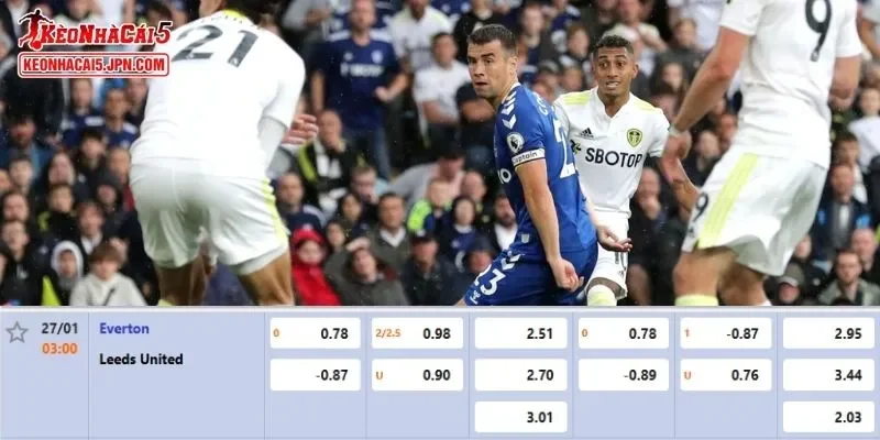 Tỷ lệ kèo chi tiết chuẩn xác nhất cho trận đấu giữa Everton vs Leeds United