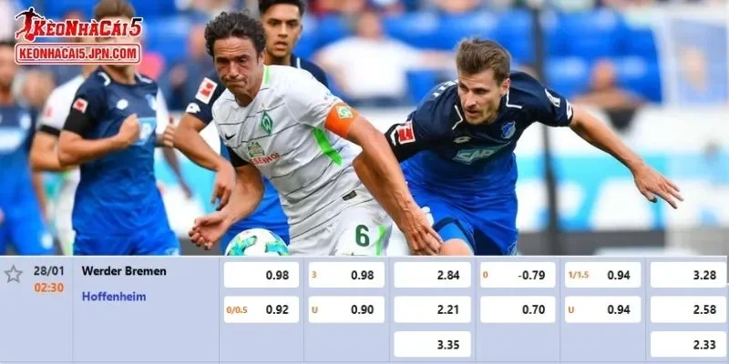 Tỷ lệ kèo chi tiết của của trận Bremen vs Hoffenheim 