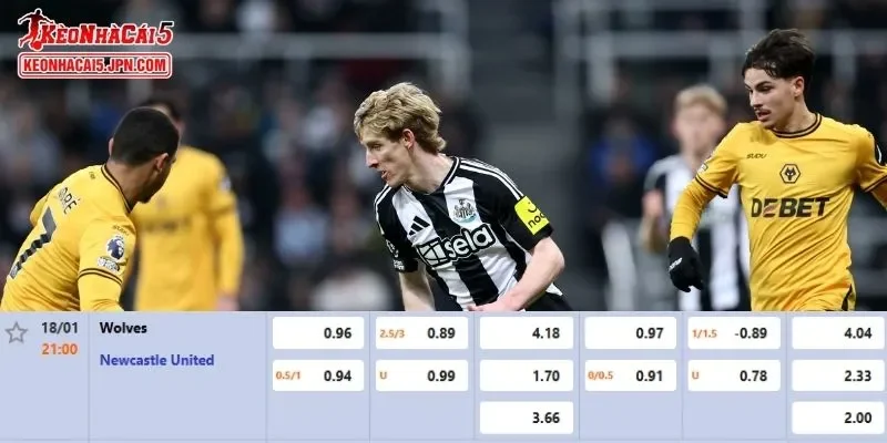 Tỷ lệ kèo chi tiết của của trận Wolves vs Newcastle