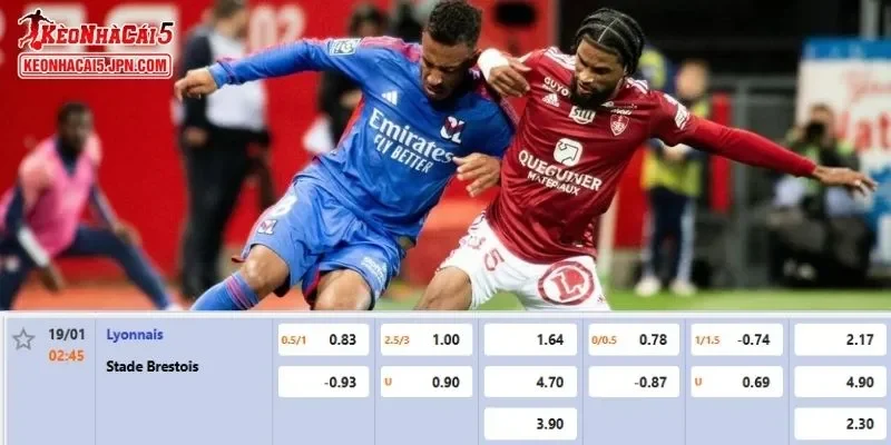 Tỷ lệ kèo chi tiết nhất cho trận đấu giữa Lyon vs Brest