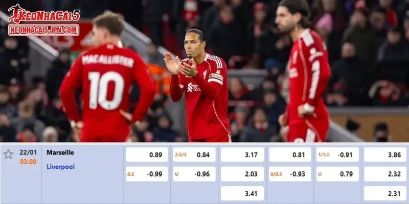 Tỷ lệ kèo chi tiết nhất cho trận đấu giữa Marseille vs Liverpool