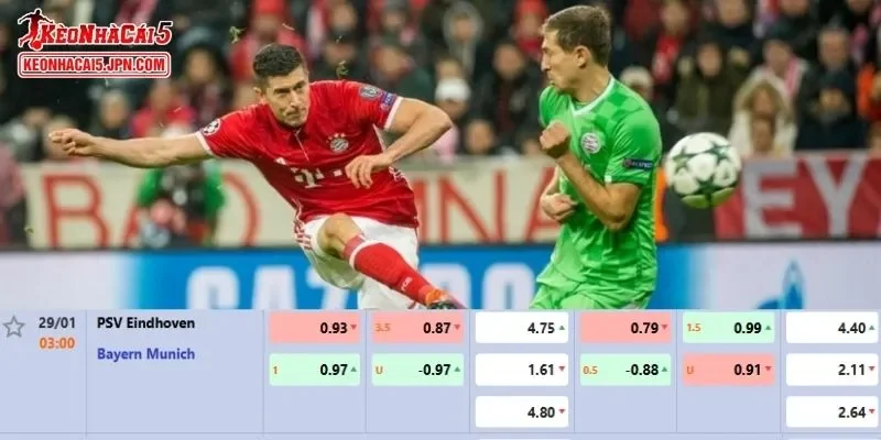 Tỷ số dự kiến cực kỳ chính xác cho trận PSV vs Bayern Munich