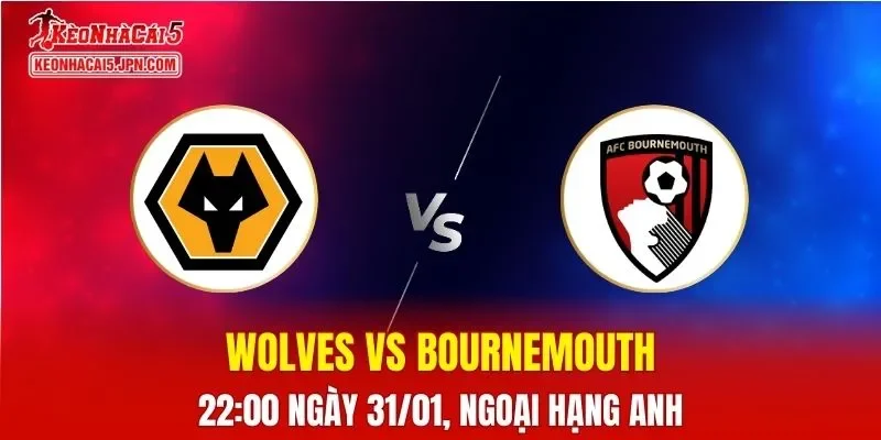 Nhận Định, Soi Kèo Bóng Đá Wolves vs Bournemouth 22:00 Ngày 31/01: Cuộc Chiến Trụ Hạng
