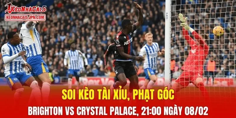 Trận đấu giữa Brighton và Crystal Palace đang hứa hẹn sẽ bùng nổ