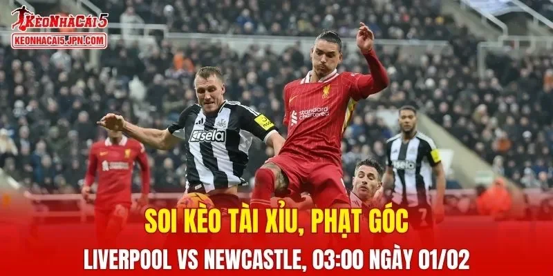 Trận đấu giữa Liverpool và Newcastle đang hứa hẹn sẽ bùng nổ