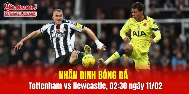 Trận đấu giữa Tottenham vs Newcastle hứa hẹn sẽ rất hấp dẫn