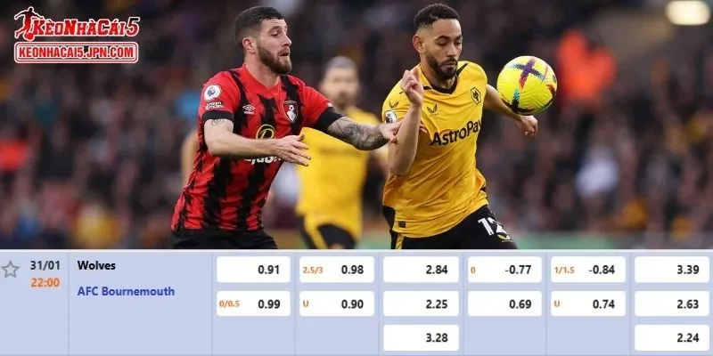 Tỷ lệ cược chuẩn xác nhất cho trận đấu giữa Wolves vs Bournemouth