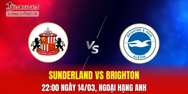 Nhận Định, Soi Kèo Sunderland vs Brighton, 22h00 Ngày 14/03: Đội Khách Tìm Kiếm Điểm Số