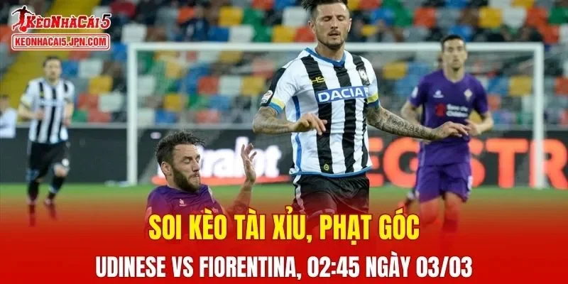 Thành tích đối đầu chi tiết cho trận đấu giữa Udinese vs Fiorentina 