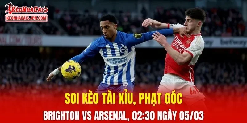 Trận đấu giữa Brighton và Arsenal đang hứa hẹn sẽ bùng nổ