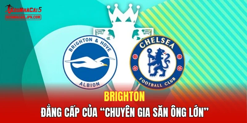 Brighton - Đẳng cấp của “chuyên gia săn ông lớn”
