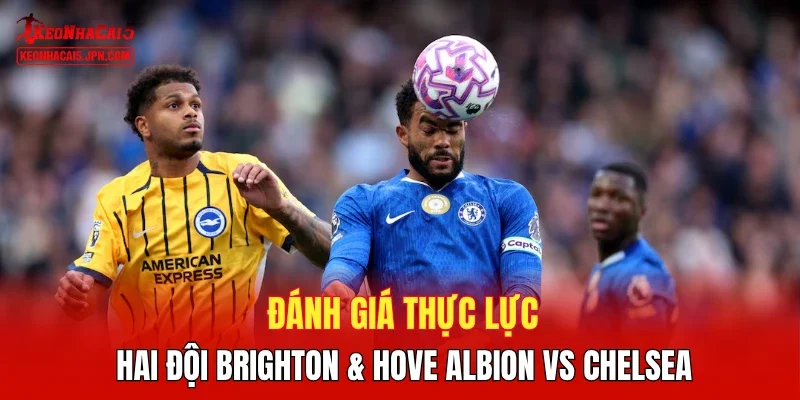 Đánh giá thực lực hai đội Brighton & Hove Albion vs Chelsea